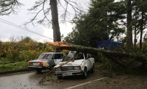 15328183_10207398198144780_1113844470_n