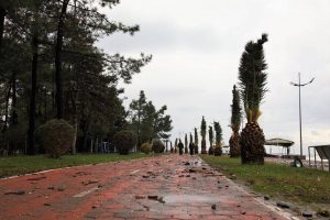 15356953_10154203725459779_1495499211_n