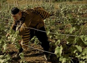 15423736_1088697247916216_2114947804_n