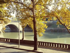 15595585_10207754579453545_133441756_o