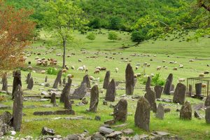 15608379_1163781167041388_739085947_o