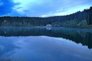 15608400_1163780607041444_829796394_o