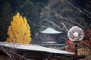 15732386_10206568148517314_8382497439698236746_o