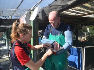 ht-penguins-03-as-161208_4x3_992