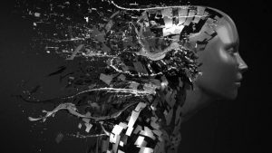 15995416_10207722771138902_602491163_n