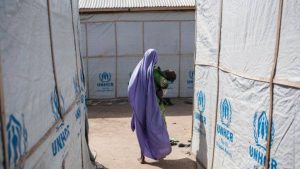 16118541_10207764866031248_877838413_n