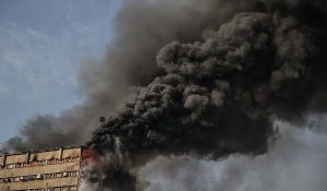 16144166_10207773074116445_939543828_n