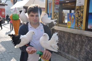 16251339_1282576595122334_649346891_o