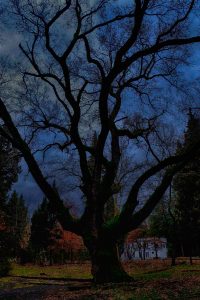 11255040_10203523427521103_8580385702292301217_o