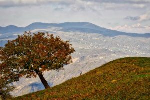 12646671_10205089160303444_7737576856935105211_o