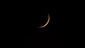 14882202_10206611474120338_4196801008877739931_o