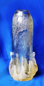 16668058_1218464818202516_633689696_o