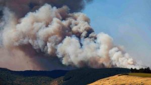 16779837_10207978263726057_1905053254_n