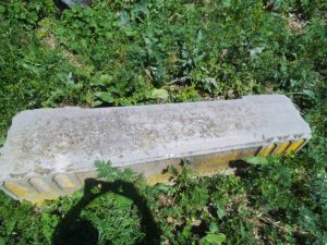 16839724_1394127640609725_928951344_n