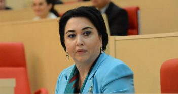 “ბესელიას მოკავშირეები ის არასამთავრობოები გახდნენ, რომლებიც საზოგადოების ნაწილის აღქმით, “ნაცმოძრაობასთან” არიან გაიგივებულნი”