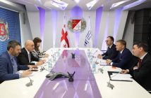 ივანე მაჭავარიანი ევროპის საინვესტიციო ბანკის ვიცე-პრეზიდენტს შეხვდა