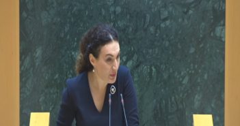 ქეთევან ციხელაშვილი: მავთულხლართების გასწვრივ მაცხოვრებლების მიმართ გაცემული დაპირებების ნაწილი შესრულდა, ნაწილი კი შესრულების პროცესშია