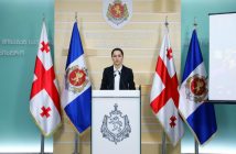 ნინო ცაციაშვილი: ჩვენს ხელთ არსებული ინფორმაციით პოლიციის განყოფილებაში არანაირი ზეწოლა არ განხორციელებულა