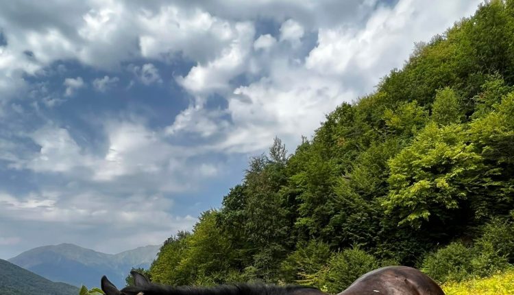 298756295_1169224090474954_4439011537043707656_n