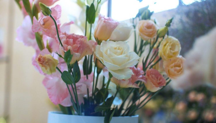 307387365_1039780656705304_6840410188167940594_n