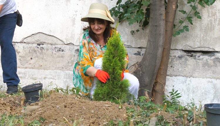 P1555160.00_00_45_19.Still016